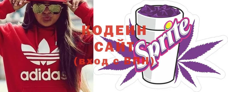 наркотики  Невельск  Кодеиновый сироп Lean Purple Drank 